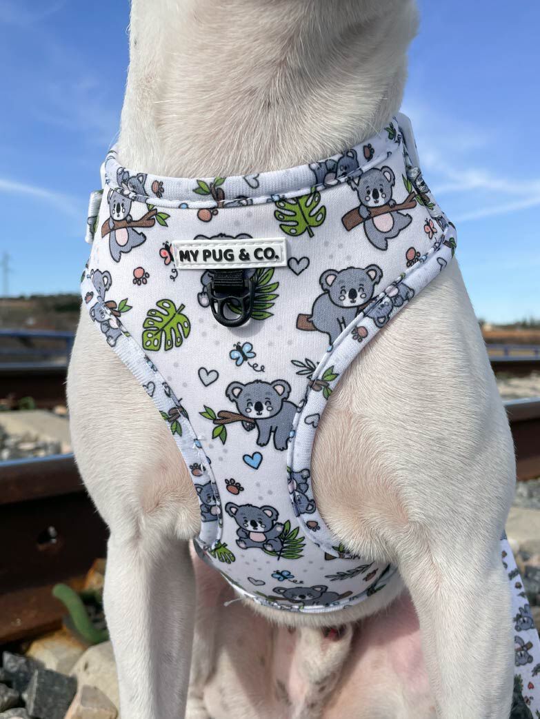 Arn&eacute;s Ajustable Lazy Koala, , large Imagen numero 2