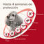 Beaphar Protectix Pipetas Antiparasitarias para perros, , large indicador imagen numero 3