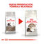 4 kg Royal Canin Ageing 12+ pienso para gatos, , large indicador imagen numero 3