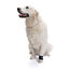 Pesas para fortalecimiento muscular en perros, , large indicador imagen numero 2