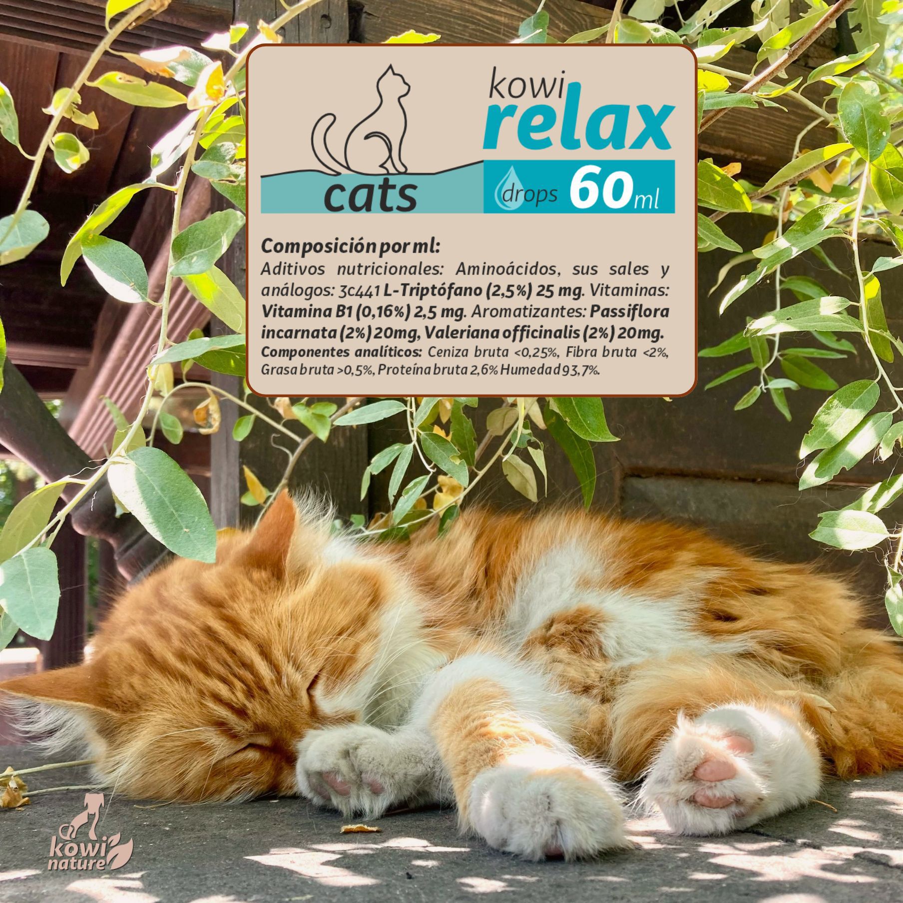 Kowi Cats Relax, , large Imagen numero 5