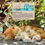 Kowi Cats Relax, , large indicador imagen numero 5