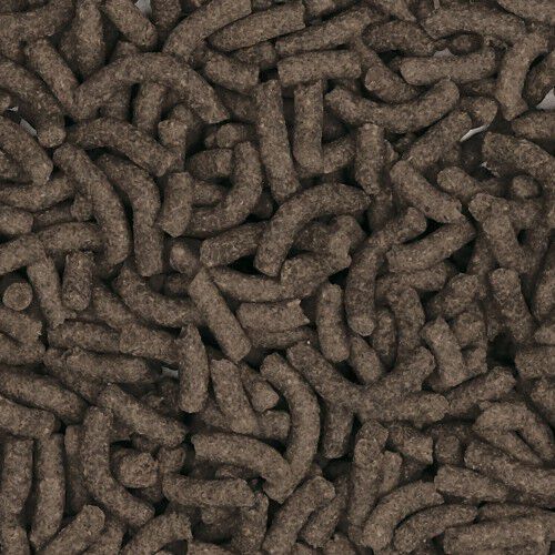 Alimento Bug Bites stick para tortugas thumbnail