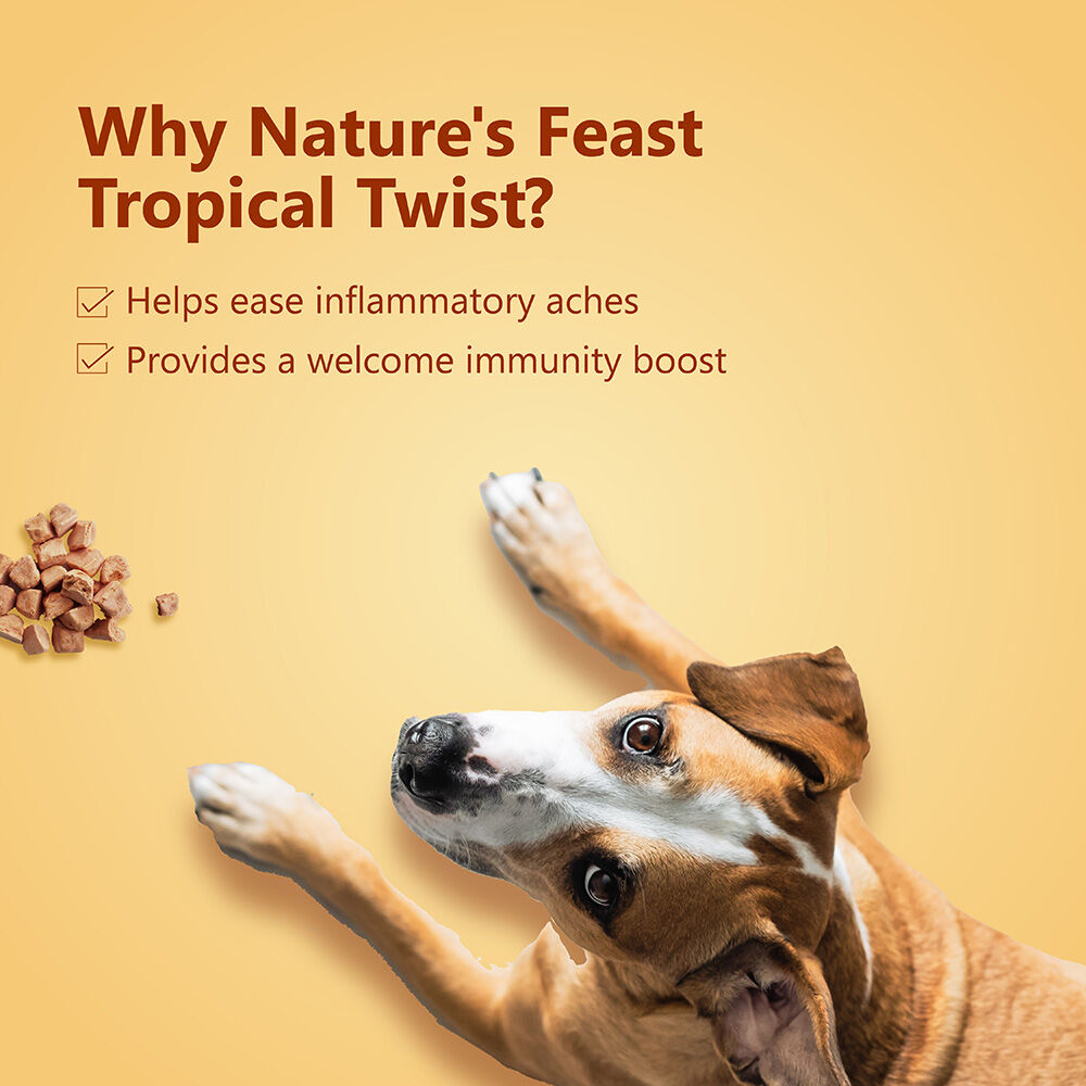 Golosinas liofilizadas para perros: pollo con un toque tropical (50 g/1,76 oz), , large Imagen numero 5