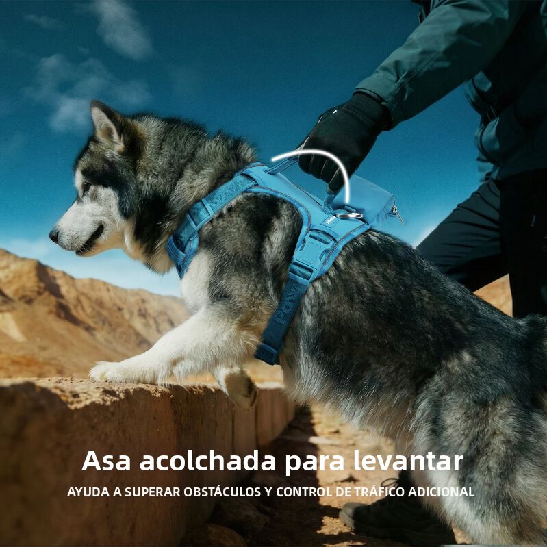 PawView Arn&eacute;s Antitirones para Perros &ndash; Resistente, Impermeable y Seguro para Aventuras al Aire Libre, , large Imagen numero 2