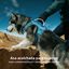 PawView Arn&eacute;s Antitirones para Perros &ndash; Resistente, Impermeable y Seguro para Aventuras al Aire Libre, , large indicador imagen numero 2