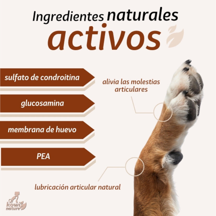 Kowi Nature Condroprotector natural KOWI FLEX plus para perros y gatos, , large Imagen numero 4