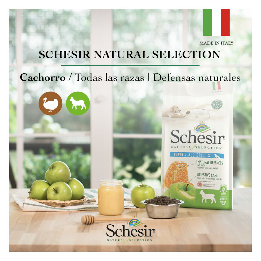 2.24 kg Schesir Puppy Natural Selection Pavo pienso , , large Imagen numero 4