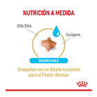 Royal Canin Adult +5 Pastor Alemán pienso para perros , , large image number null