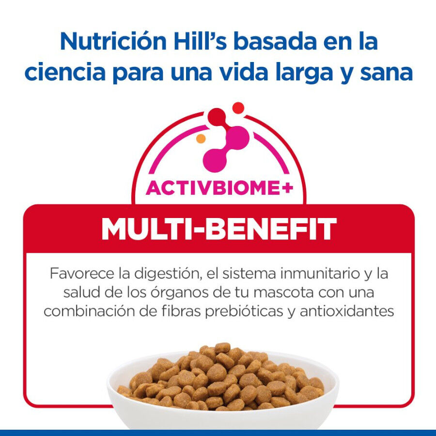 10 kg Hill's Science Plan Adult Cordero pienso para gatos, , large Imagen numero 7