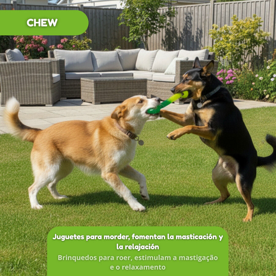 Tootoy! Mordedor Grill and Pull Verde para perros, , large Imagen numero 5