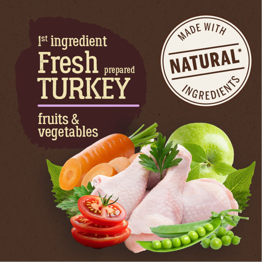 True Origins Pure Grain Free Adult Pavo pienso para perros thumbnail