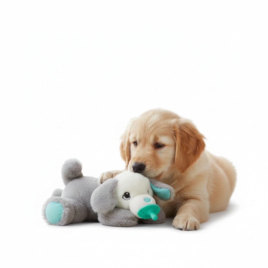 All For Paws Juguete Chupete Heartbeat Blanco para cachorros, , large Imagen numero 3