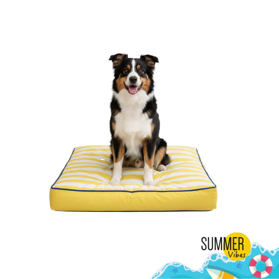 Summer Vibes Cama Coj&iacute;n Amarillo y  Blanco para perros, , large Imagen numero 7