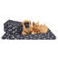 Nobleza – 6 x Manta Suave de Felpa para Perros, Gatos y Otras Mascotas. Lavable. Color Negro, 120*100 cm, , large indicador imagen numero 8