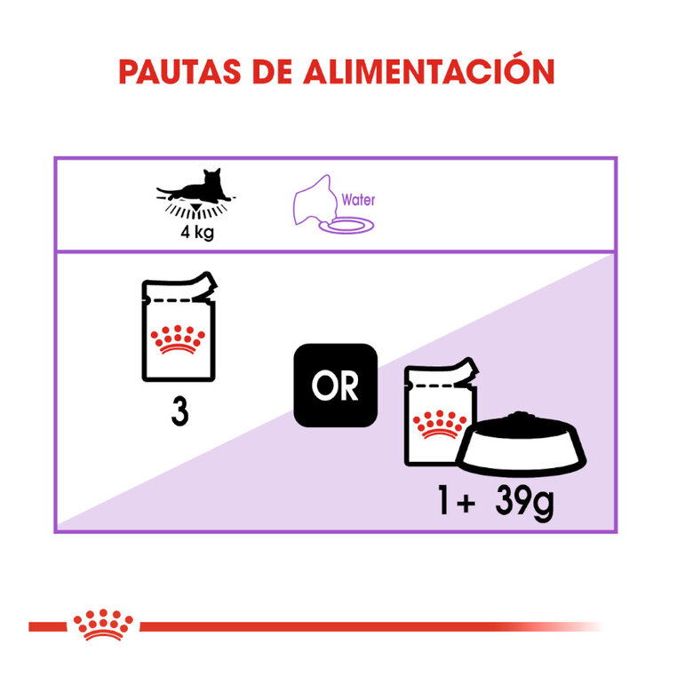 Royal Canin Feline Sterilised Salsa sobres para gato, , large image number null