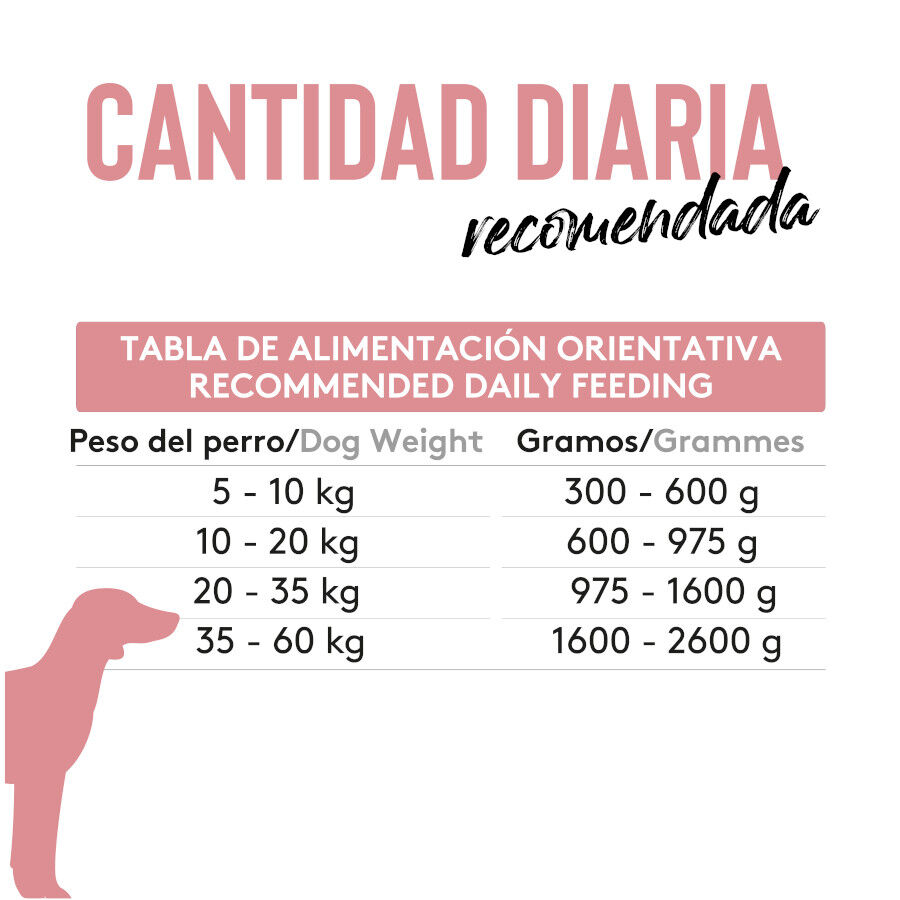 380 g Dibaq Sense Lata Grain Free Cordero para perros, , large Imagen numero 2