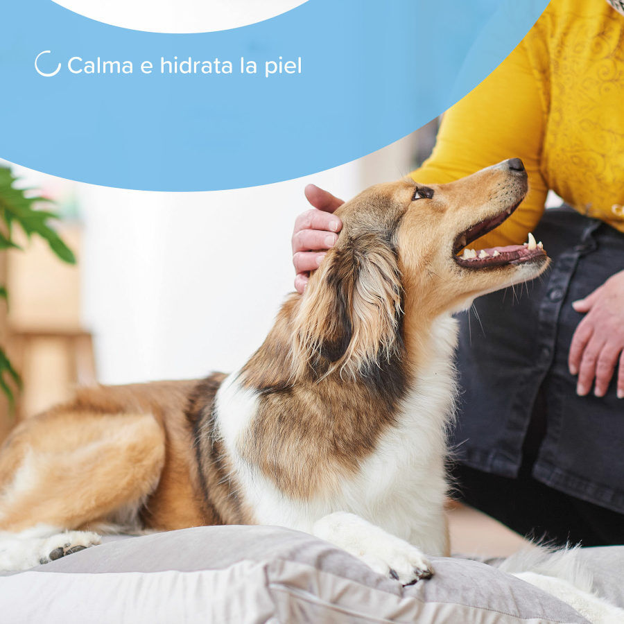 Beaphar Spray para Cuidado de la Piel para perros y gatos thumbnail