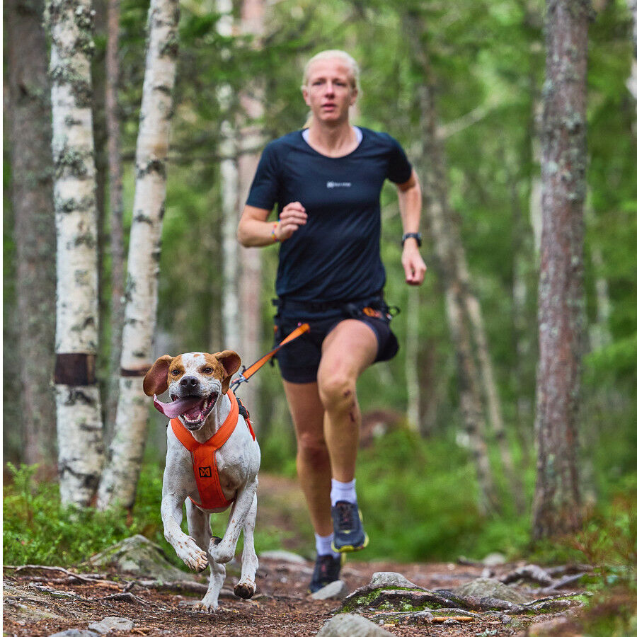 Non-stop dogwear Freemotion Arn&eacute;s Negro y Naranja para perros, , large Imagen numero 3