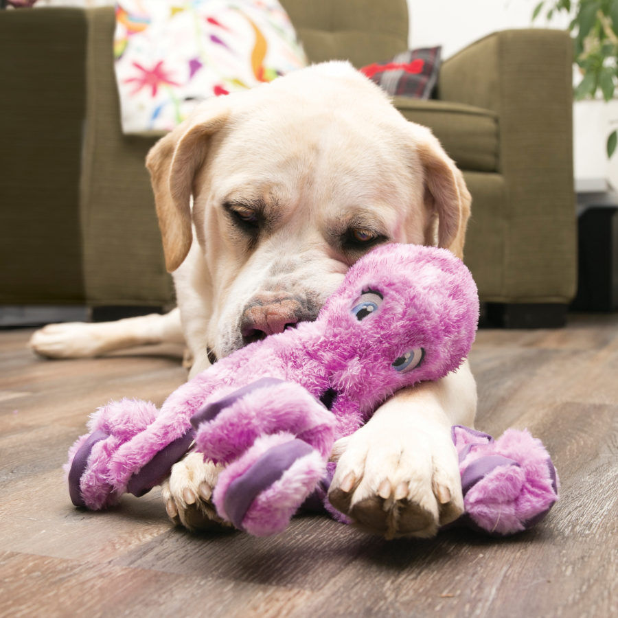 Kong SoftSeas Pulpo de peluche para perros, , large Imagen numero 2