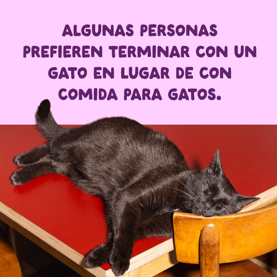 70 g Edgard & Cooper Filetes de Salm&oacute;n y Pollo Lata para gatos, , large Imagen numero 9