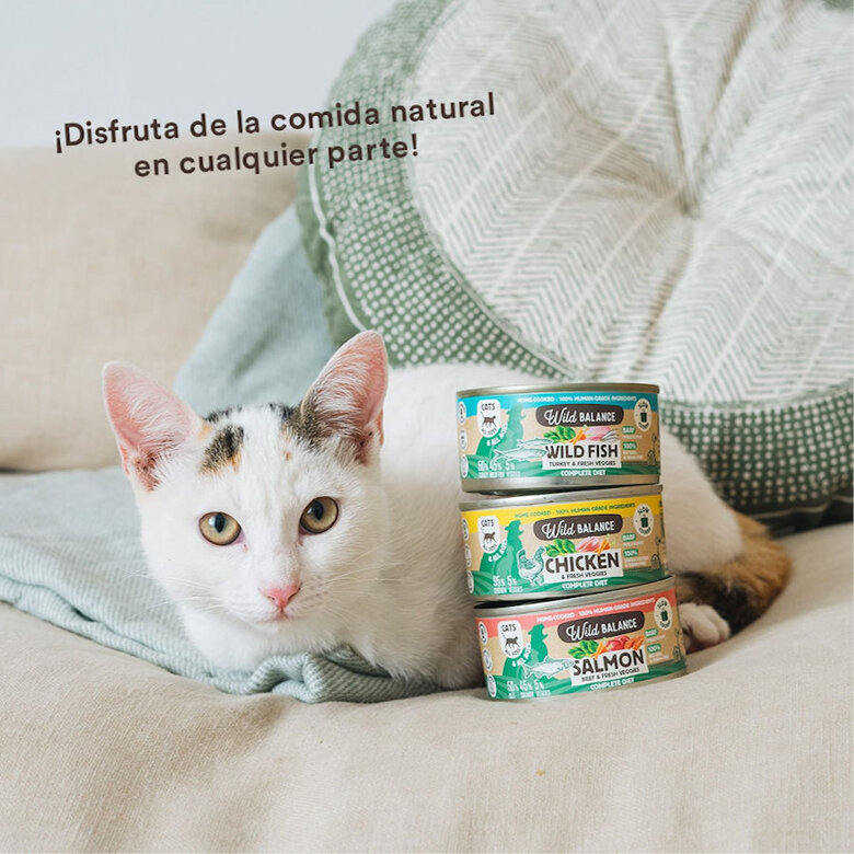 Wild Balance BARF Pollo y Vegetales lata para gatos, , large image number null