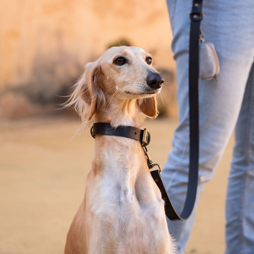 Ladran Gaucho Correa negra de cuero premium para perros, , large Imagen numero 2