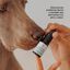 Dogs.Drops Oil 10% 1000mg CBD Salmón, , large indicador imagen numero 4