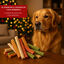 12 barritas Wonder Christmas Barritas Navideñas para perros, , large indicador imagen numero 4
