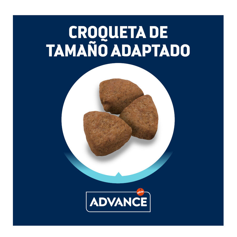 Advance Active Defense Maxi Adult pollo y arroz pienso para perros thumbnail