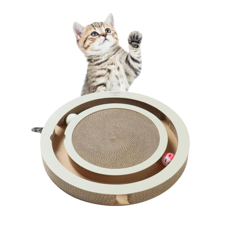Althea Living - Juguete Interactivo Rascador para Gatos con cart&oacute;n corrugado y pelotas giratorias, , large Imagen numero 4