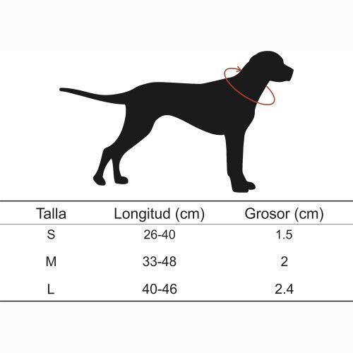 Collar Estelar para perros color Verde, , large Imagen numero 5