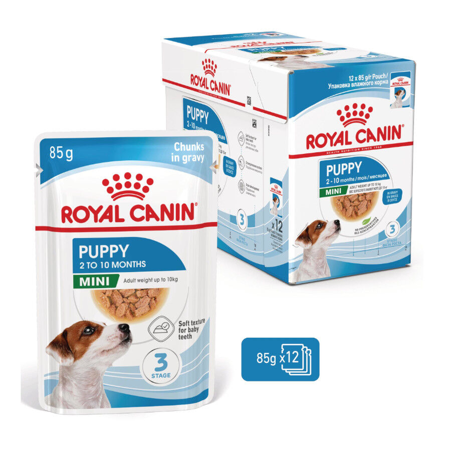 Royal Canin Mini Puppy sobre en salsa thumbnail