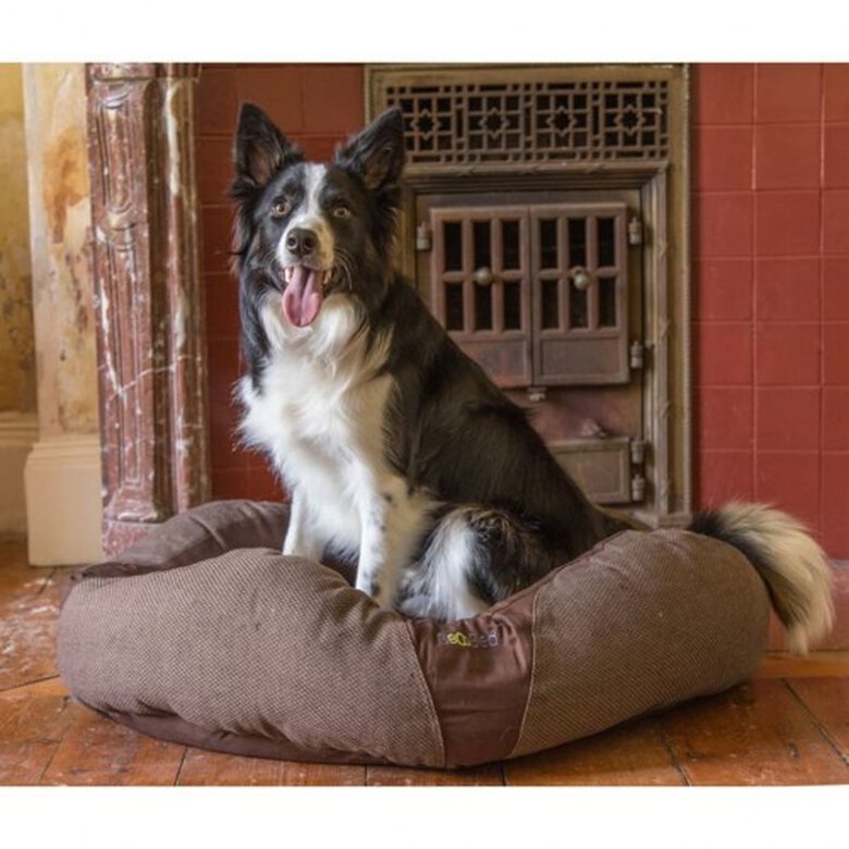 Cama de descanso para perros color Marrón, , large image number null