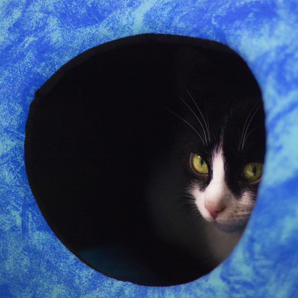 Catshion World Cama Igl&uacute; para gatos  , , large Imagen numero 2