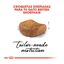 10 kg Royal Canin Adult British Shorthair pienso para gatos, , large indicador imagen numero 4