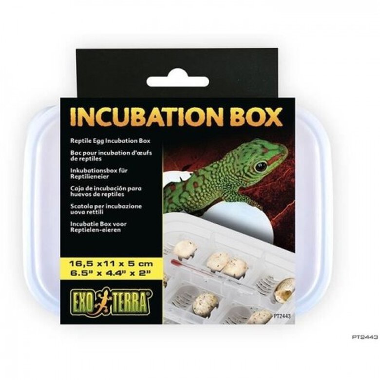 Exo Terra Incubadora para reptiles, , large image number null