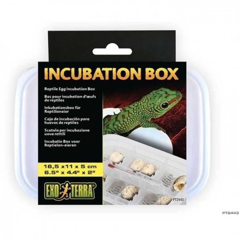 Exo Terra Incubadora para reptiles thumbnail
