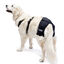 Soporte de Cadera para Perros con Displasia de Cadera o Artrosis, , large indicador imagen numero 2