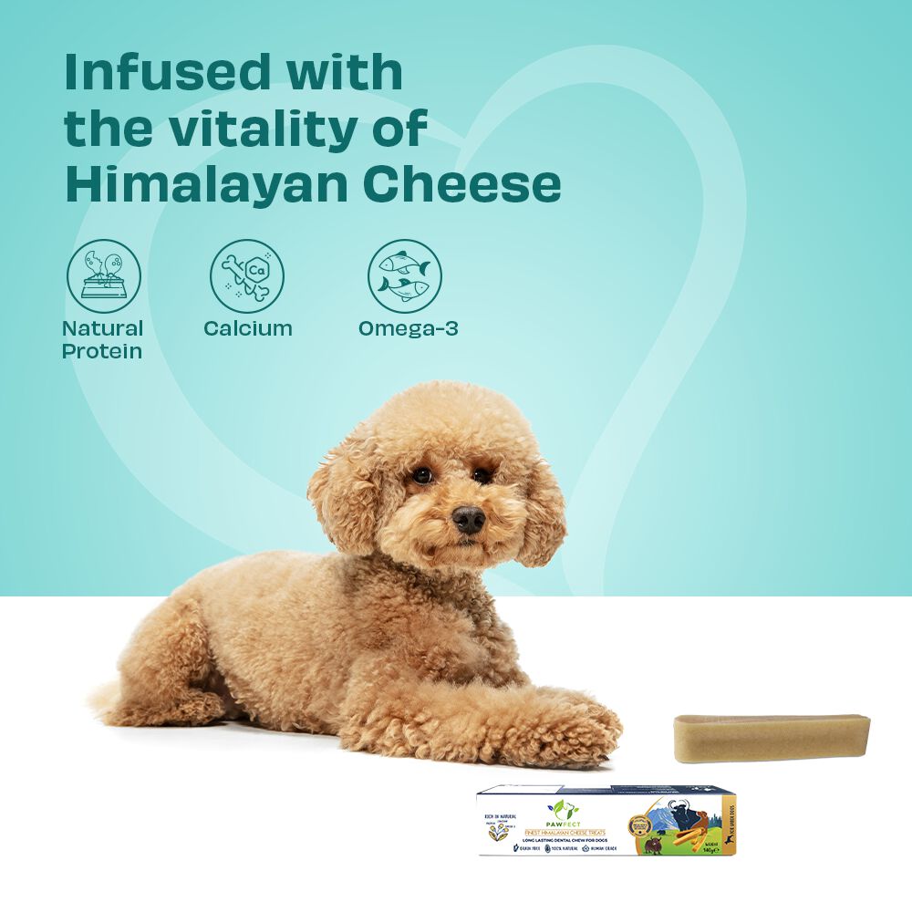 Pawfect Masticable dental Himalayan Cheese thumbnail