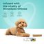 Masticable dental Himalayan Cheese - Original - Paquete de 1 masticable para perros de tamaño grande (140 g/4,93 oz), , large indicador imagen numero 4