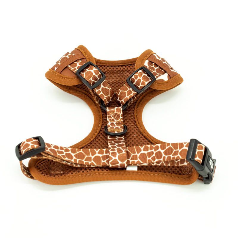 candyPet Arn&eacute;s Ajustable en Cuello y Pecho para Perro, Chaleco Antitirones, de Neopreno y Malla Transpirable - GIRAFFE, , large Imagen numero 2