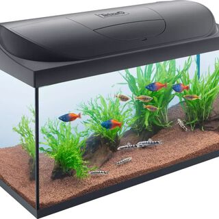 Tetra Kit acuario Starter Line LED Diurna Nocturna