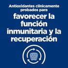 Hill's Prescription Diet Restorative Care Pollo lata para mascotas, , large image number null