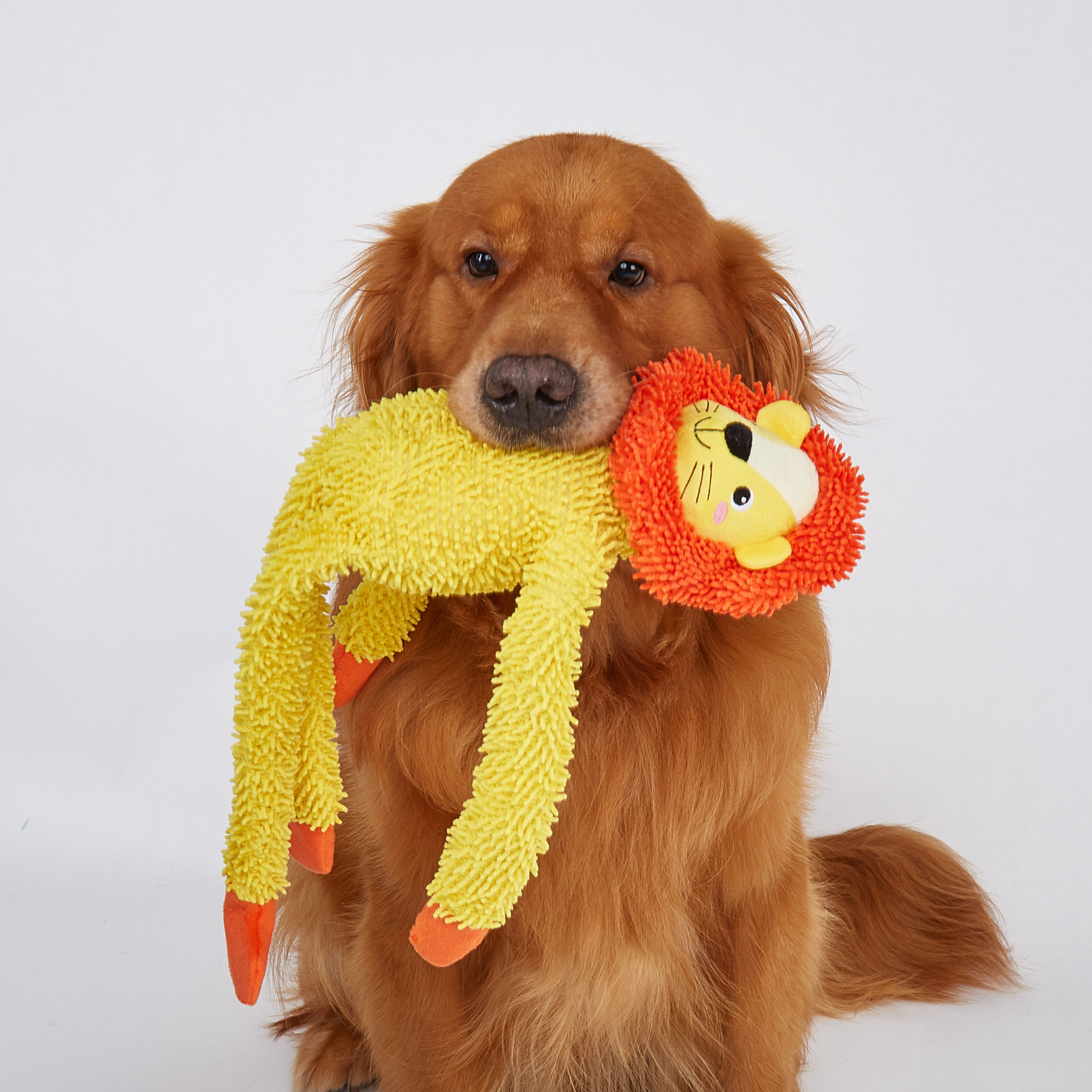 Juguete Resistente para Perro &ndash; Le&oacute;n de Cuerpo Largo, , large Imagen numero 2