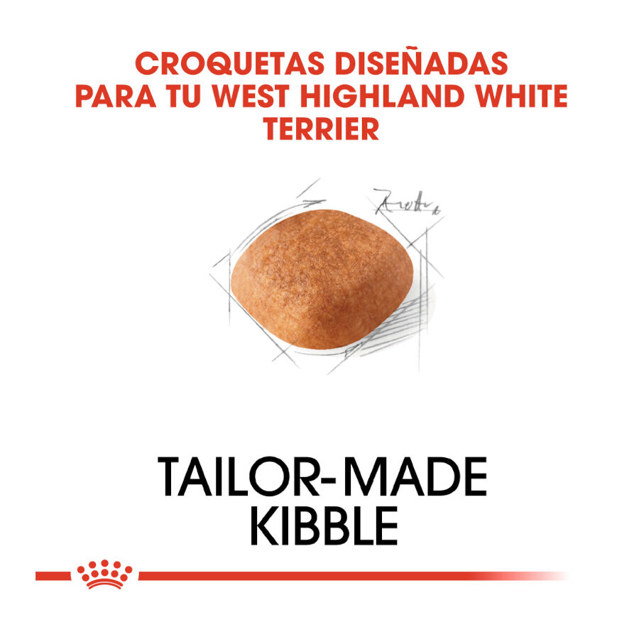 3 kg Royal Canin Adult White Terrier West Highland pienso para perros, , large Imagen numero 4
