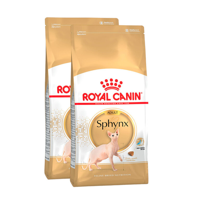 Royal Canin Sphynx pienso para gato adulto