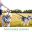 Nobleza Correa Doble para Perros, sin enredos Correa Doble, Rotación 360° Reflectante Longitud Ajustable Acoplador para Dos Perros, Divisor Fuerte de Doble Correa Para Entrenar y Caminar a 2 Perros, , large indicador imagen numero 5