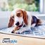 Purina Dentalife Raza Pequeña Multipack indicador imagen numero 6
