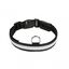 Collar luminoso con USB para perros color Blanco, , large indicador imagen numero 1